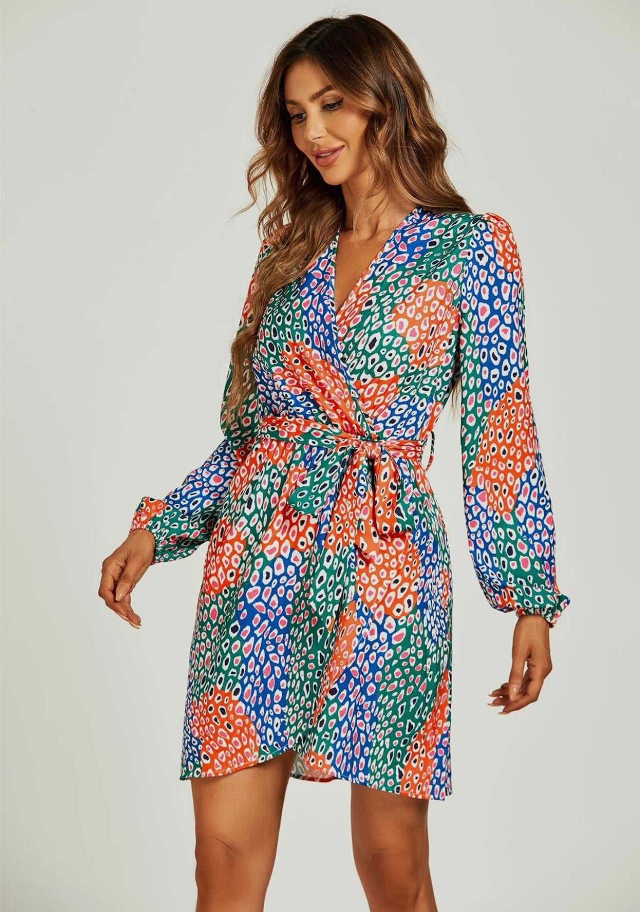 Multicolour Leopard Print Mini Wrap Dress